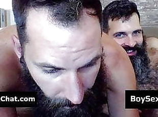 amateur, gay, follando-fucking, webcam, oso
