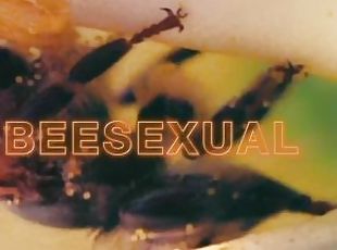 anal, fetish-benda-yang-dapat-meningkatkan-gairah-sex