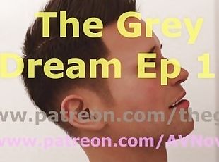 The Grey Dream 12