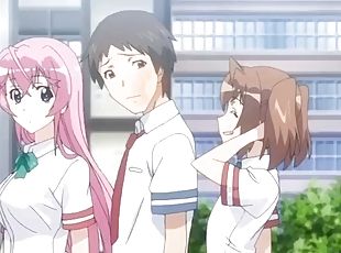 travesti, genç, pornografik-içerikli-anime