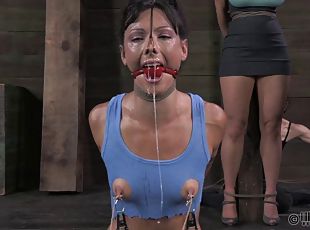 Amazing BDSM games with ladies who have been really bad