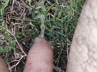 Pissing on grass outdoors compilation
