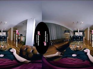 transsexuelle, anal, hardcore, point-de-vue, pute, 3d, néerlandais
