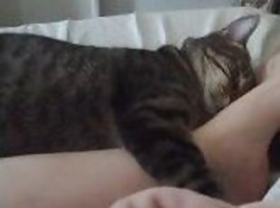 Pussy Cat Cuddling With Sexy Legs and Feet